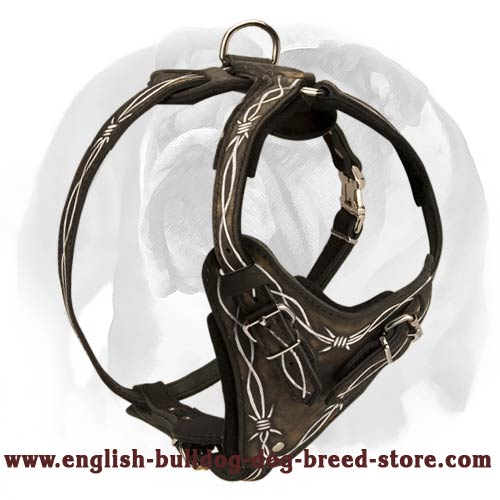 Astonishing English Bulldog leather harness with barbed wire painting