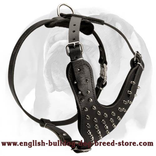 English Bulldog Spiked Dog Harness for Fancy Look of Your Pet