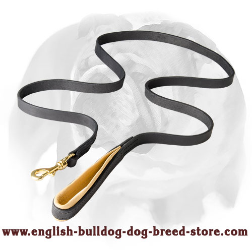 English Bulldog Leather Dog Leash with Support Material on the Handle