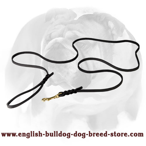 English Bulldog Leather Braided Leash for Dog Shows