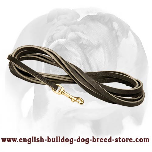 English Bulldog Leather Leash for Training and Tracking