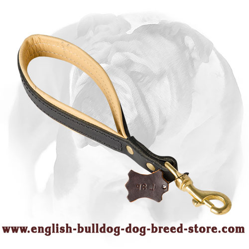 Pull tab hot sale dog leash