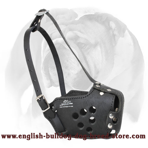 Police Leather English Bulldog Muzzle for Service Dogs