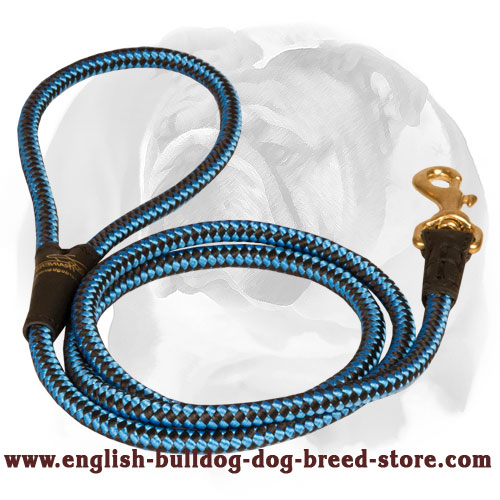 English Bulldog Nylon Cord Dog Leash for Walking
