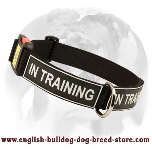 English Bulldog nylon dog collar with stylish practical id patches