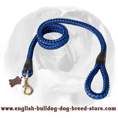 Bright Nylon English Bulldog Leash for Professional Training