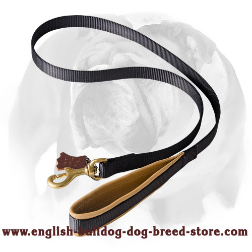 English Bulldog Comfortable Walking Dog Leash with Soft Padding