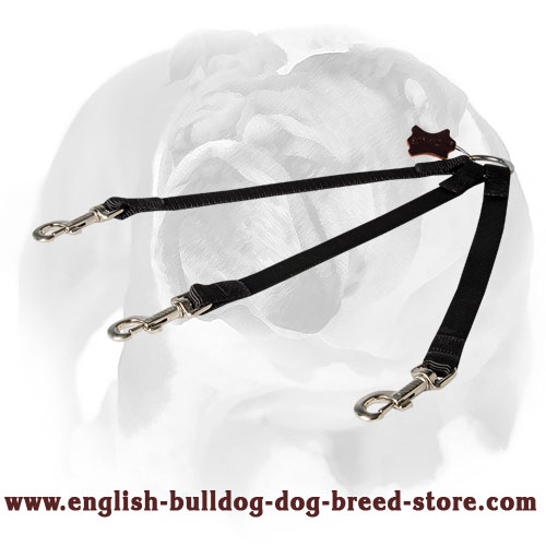English Bulldog Nylon Coupler Leash for 3 Dogs