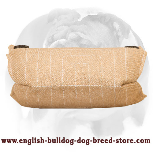 English Bulldog Jute Puppy Bite Builder for Basic Training