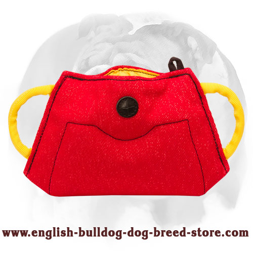 English Bulldog New Solid Puppy Bite Builder for Training