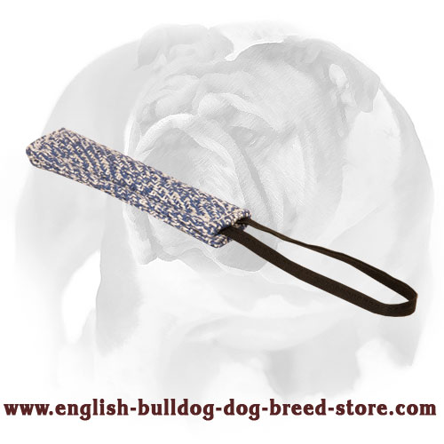 French Linen English Bulldog Bite Tug for Training Puppies