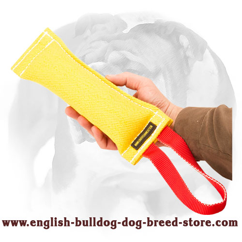 French Linen Puppy Bite Tug for English Bulldog Training