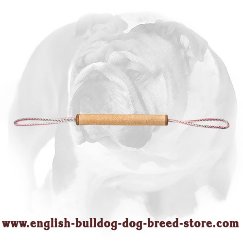 English Bulldog Puppy Rolled Jute Bite Tug for Training and Playing