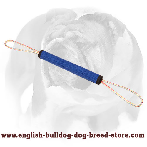 English Bulldog Bite Roll with 2 Handles for Training and Playing
