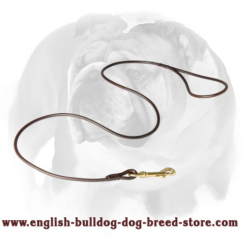 English Bulldog Round Pure Leather Show Dog Leash