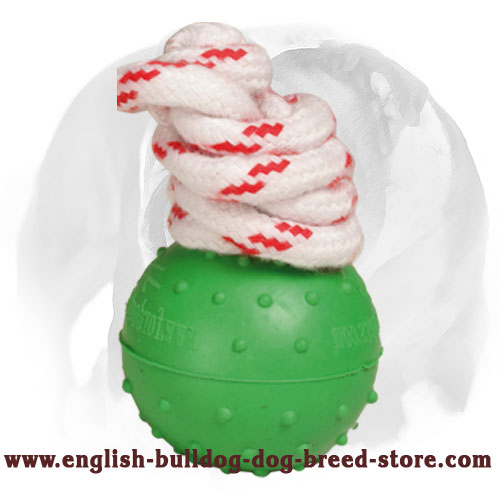Dotted Rubber Ball for English Bulldog Training and Playing - Click Image to Close