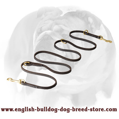 English Bulldog Multifunctional Genuine Leather Dog Leash