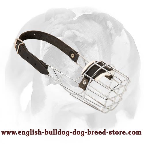 'The Silencer' High Quality Wire Cage Muzzle Padded for English Bulldog