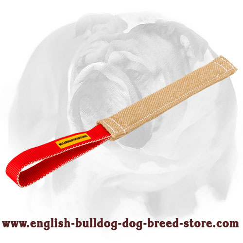 English Bulldog Bite Tug for Training Puppies