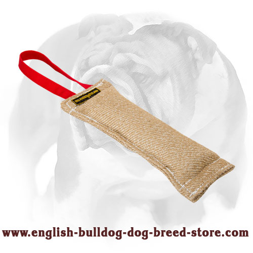 English Bulldog Puppy Joy Jute Bite Tug with Nylon Handle