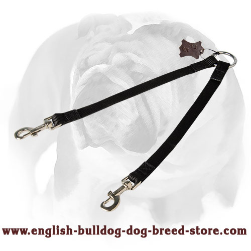 English Bulldog Strong Nylon Coupler Dog Leash