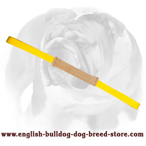 Puppy Soft Leather Bite Tug for English Bulldog Training