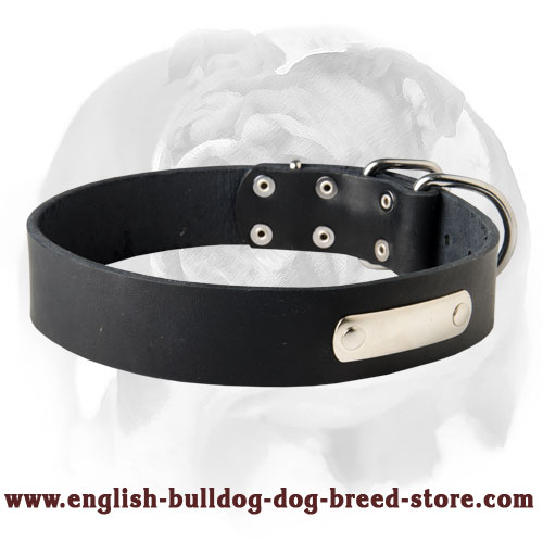 Amazing Leather Dog Collar Equipped with ID-Tag