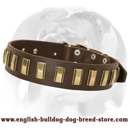 Marvelous Leather Dog Collar specially for your English Bulldog