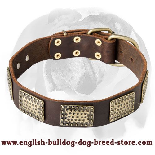 Astonishing Leather Dog Collar with exclusively designed brass plates