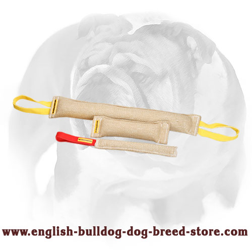 Jute Bite Tugs Set for Training English Bulldog