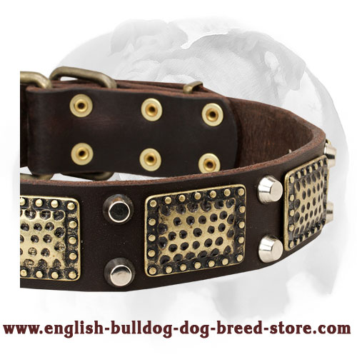 English Bulldog Vintage Style Pure Leather Dog Collar with Brass Decorations