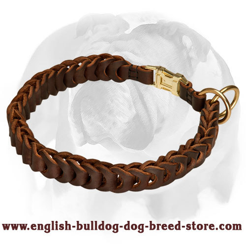 English Bulldog Braided Genuine Leather Dog Collar with Quick Release Buckle