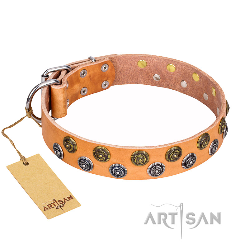 "Precious Sparkle" Exquisite FDT Artisan Tan Leather Collar for English Bulldog