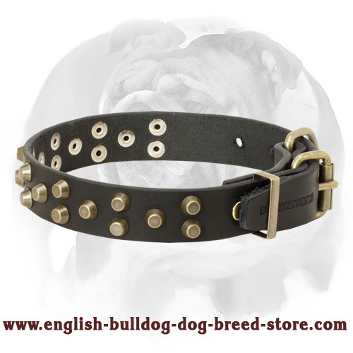 English Bulldog Pure Leather Dog Collar with Buckle
