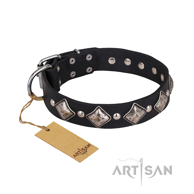 'Silver Charm' FDT Artisan Leather Collar with Studs and Plates for English Bulldog