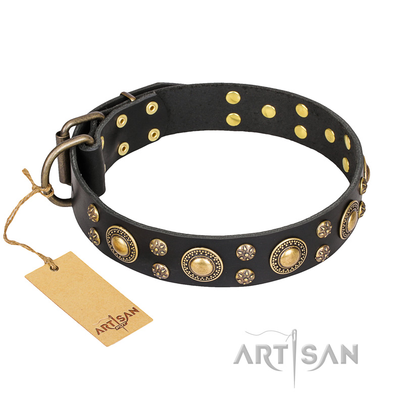 'Baroque Chic' FDT Artisan Studded Black Leather English Bulldog Collar