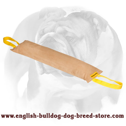 English Bulldog Huge Leather Bite Tug for Training