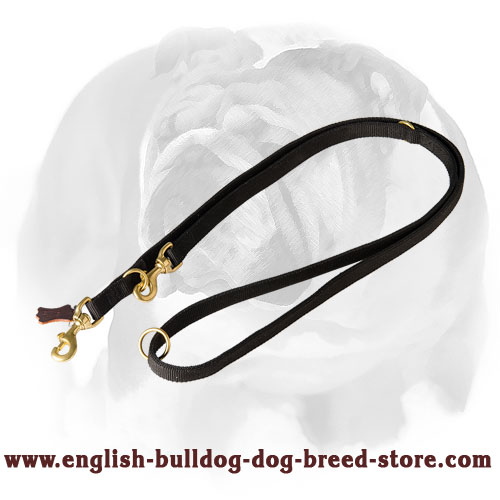 English Bulldog Multifunctional Nylon Dog Leash