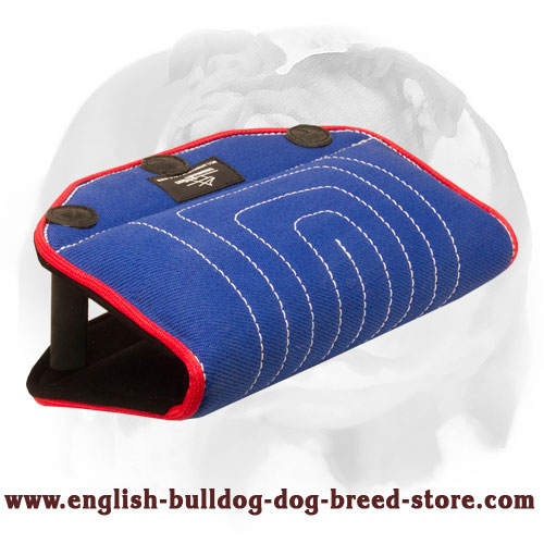 English Bulldog Puppy Bite Builder for Advanced Bite Training