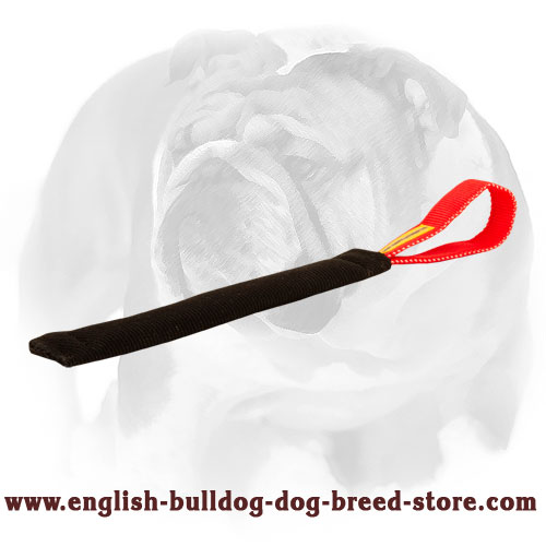 English Bulldog French Linen Tug for Puppy Bite Training