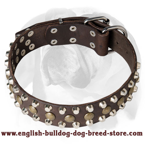 English Bulldog Riveted Full Grain Leather Dog Collar with Decorations