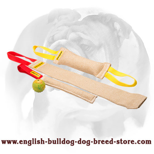 English Bulldog Special Jute Set for Training