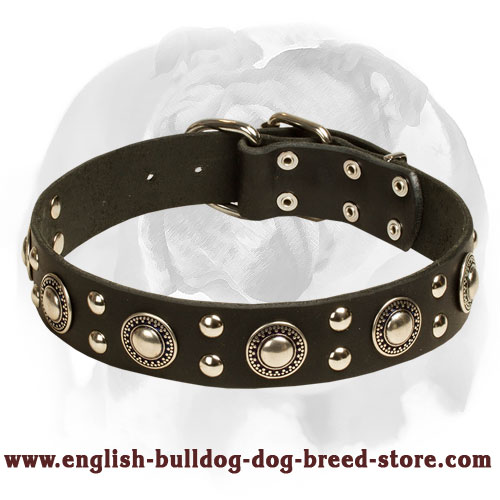 English Bulldog ‘Silver Knight’ Leather Dog Collar for Walking and Training