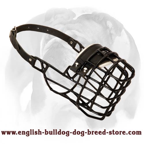 Fancy Wire Cage Muzzle with Rubber Cover for Winter