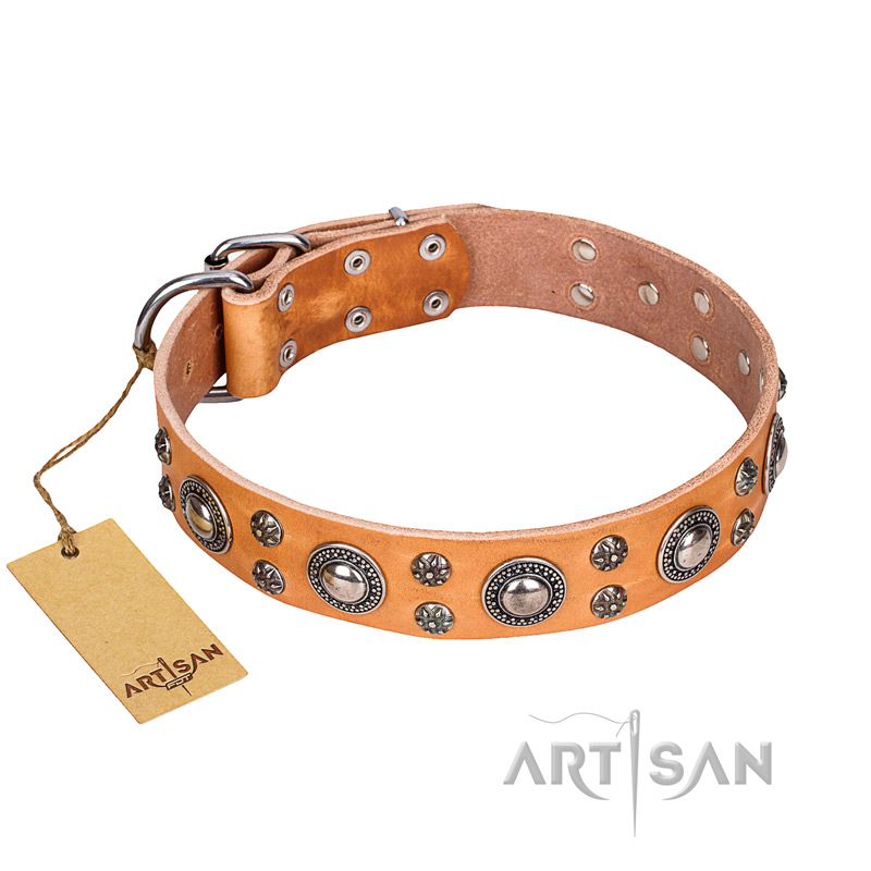 'Extra Sparkle' FDT Artisan Handcrafted English Bulldog Tan Leather Dog Collar