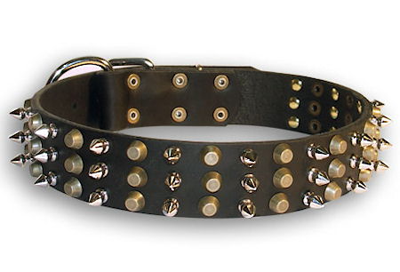 Bulldogs Leather dog collar with 3spikes+3old brass pyramids