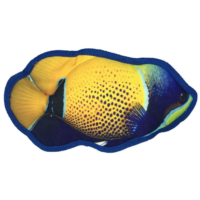 10" Tropical Damselfish - Click Image to Close