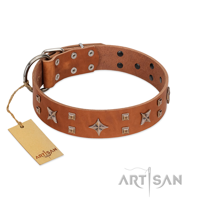 "Dreamy Gleam" FDT Artisan Tan Leather English Bulldog Collar Adorned with Stars and Squares