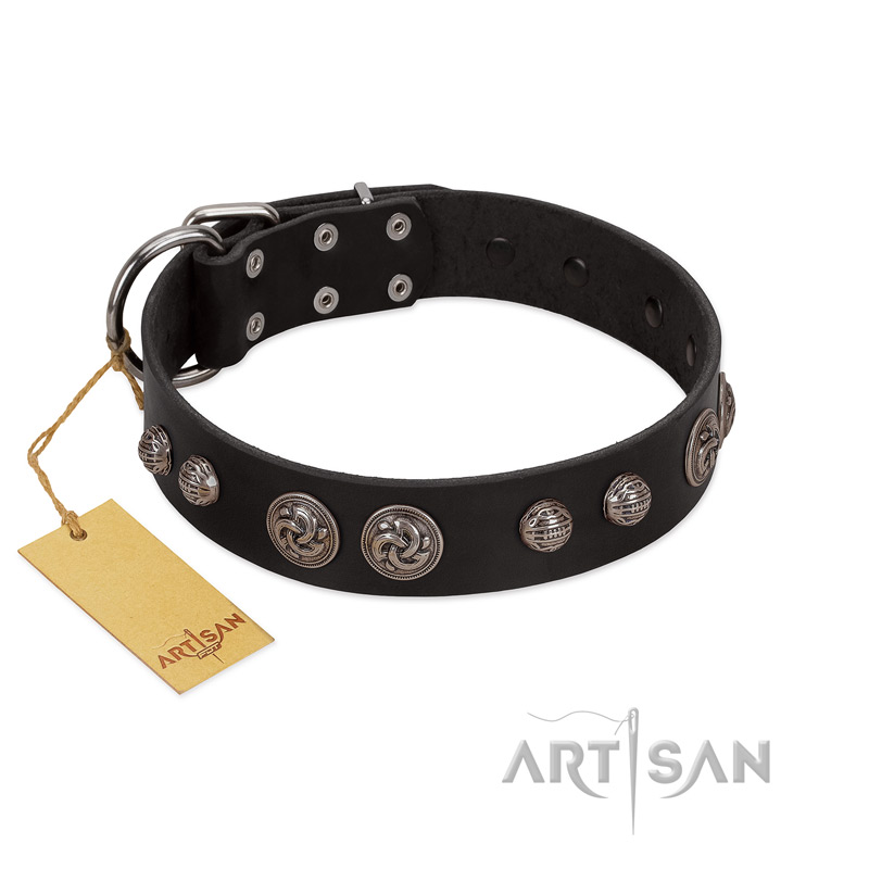 "Tricky Ricky" FDT Artisan Black Leather English Bulldog Collar Adorned with Silver-Like Conchos