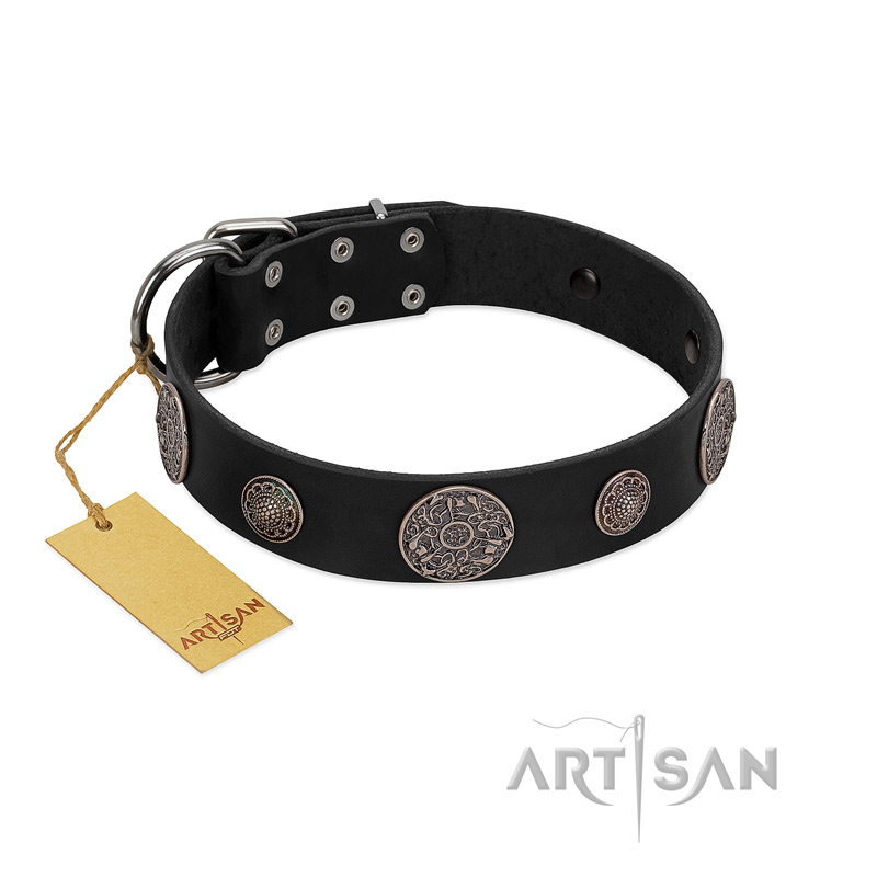"Ad Infinitum" Durable FDT Artisan Black Leather English Bulldog Collar with Chrome Plated Brooches